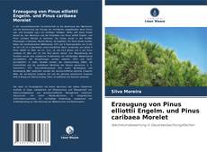 Capa do livro de Erzeugung von Pinus elliottii Engelm. und Pinus caribaea Morelet 