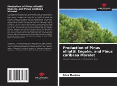 Buchcover von Production of Pinus elliottii Engelm. and Pinus caribaea Morelet
