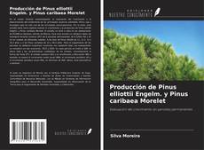 Couverture de Producción de Pinus elliottii Engelm. y Pinus caribaea Morelet