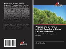 Capa do livro de Produzione di Pinus elliottii Engelm. e Pinus caribaea Morelet 