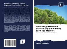 Buchcover von Производство Pinus elliottii Engelm и Pinus caribaea Morelet
