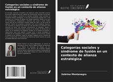 Buchcover von Categorías sociales y síndrome de fusión en un contexto de alianza estratégica