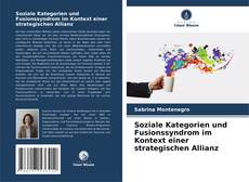Bookcover of Soziale Kategorien und Fusionssyndrom im Kontext einer strategischen Allianz
