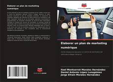 Élaborer un plan de marketing numérique的封面