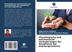 Copertina di Physiologische und biochemische Veränderungen der Reispflanze bei Submergenzstress
