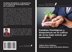 Bookcover of Cambios fisiológicos y bioquímicos en el cultivo de arroz bajo estrés por sumersión