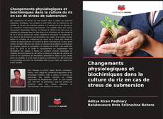 Capa do livro de Changements physiologiques et biochimiques dans la culture du riz en cas de stress de submersion 