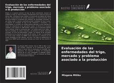 Copertina di Evaluación de las enfermedades del trigo, mercado y problema asociado a la producción