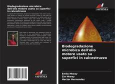 Copertina di Biodegradazione microbica dell'olio motore usato su superfici in calcestruzzo