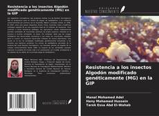 Buchcover von Resistencia a los insectos Algodón modificado genéticamente (MG) en la GIP