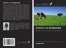 Buchcover von Camino a la Antigüedad