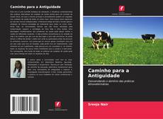 Capa do livro de Caminho para a Antiguidade 