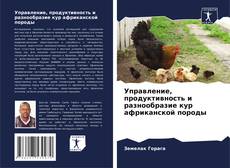 Copertina di Управление, продуктивность и разнообразие кур африканской породы