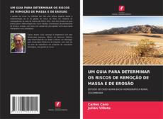 Buchcover von UM GUIA PARA DETERMINAR OS RISCOS DE REMOÇÃO DE MASSA E DE EROSÃO