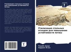 Bookcover of Утилизация стальных отходов для повышения устойчивости почвы