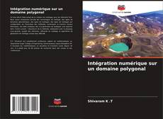 Buchcover von Intégration numérique sur un domaine polygonal