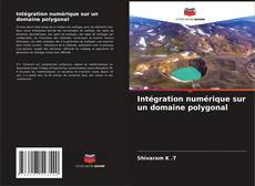 Обложка Intégration numérique sur un domaine polygonal