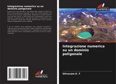 Bookcover of Integrazione numerica su un dominio poligonale