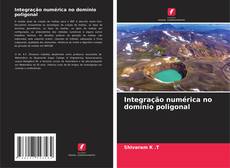 Bookcover of Integração numérica no domínio poligonal