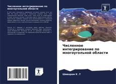 Buchcover von Численное интегрирование по многоугольной области