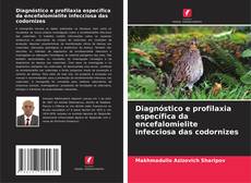 Diagnóstico e profilaxia específica da encefalomielite infecciosa das codornizes kitap kapağı