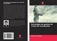 Capa do livro de Estratégia de gestão de crises de inundações 