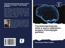 Глутаматергические цепи в мозге зебрового вьюрка (Taeniopygia guttata) kitap kapağı