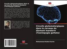 Buchcover von Circuits glutamatergiques dans le cerveau du diamant mandarin (Taeniopygia guttata)