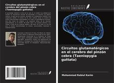 Обложка Circuitos glutamatérgicos en el cerebro del pinzón cebra (Taeniopygia guttata)