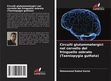 Portada del libro de Circuiti glutammatergici nel cervello del fringuello zebrato (Taeniopygia guttata)