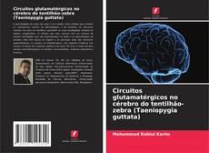 Bookcover of Circuitos glutamatérgicos no cérebro do tentilhão-zebra (Taeniopygia guttata)