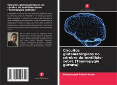 Buchcover von Circuitos glutamatérgicos no cérebro do tentilhão-zebra (Taeniopygia guttata)