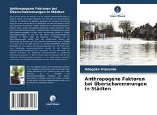 Bookcover of Anthropogene Faktoren bei Überschwemmungen in Städten