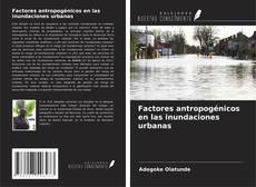 Factores antropogénicos en las inundaciones urbanas kitap kapağı