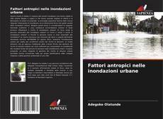 Bookcover of Fattori antropici nelle inondazioni urbane