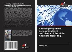 Analisi geospaziale della prevalenza dell'ulcera di Buruli in Anambra Nord, Nig kitap kapağı