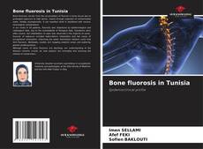 Buchcover von Bone fluorosis in Tunisia