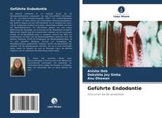 Buchcover von Geführte Endodontie