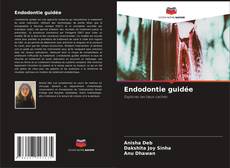 Capa do livro de Endodontie guidée 