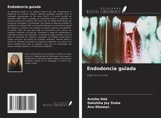 Endodoncia guiada kitap kapağı