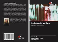 Endodonzia guidata kitap kapağı
