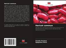 Couverture de Haricot commun