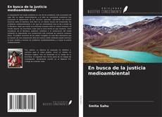 En busca de la justicia medioambiental kitap kapağı