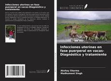 Buchcover von Infecciones uterinas en fase puerperal en vacas-Diagnóstico y tratamiento