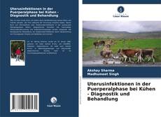 Uterusinfektionen in der Puerperalphase bei Kühen - Diagnostik und Behandlung kitap kapağı