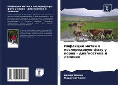 Buchcover von Инфекции матки в послеродовую фазу у коров - диагностика и лечение