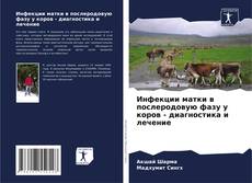 Portada del libro de Инфекции матки в послеродовую фазу у коров - диагностика и лечение