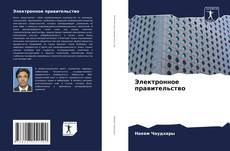 Capa do livro de Электронное правительство 