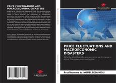 Capa do livro de PRICE FLUCTUATIONS AND MACROECONOMIC DISASTERS 