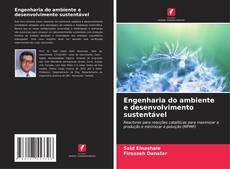 Engenharia do ambiente e desenvolvimento sustentável kitap kapağı